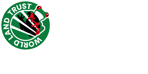 Printer (White)
